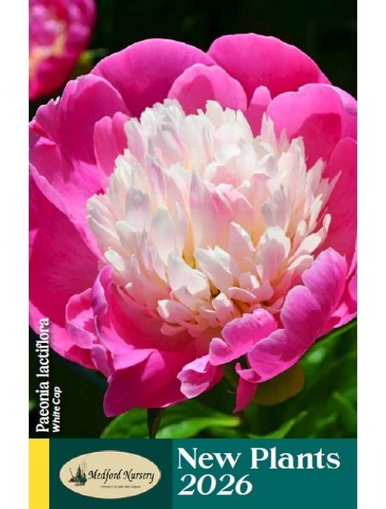 New Plants Catalog 2026