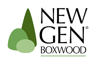 New Gen® Boxwood