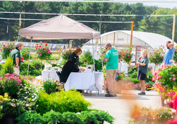 Jersey Days 2024 - 5