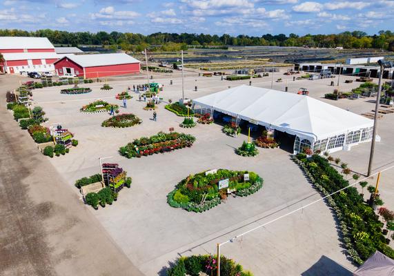 Jersey Days 2024 - 12