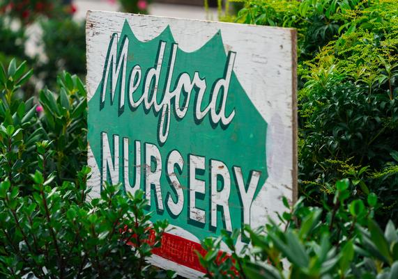 Jersey Days 2024 - 18