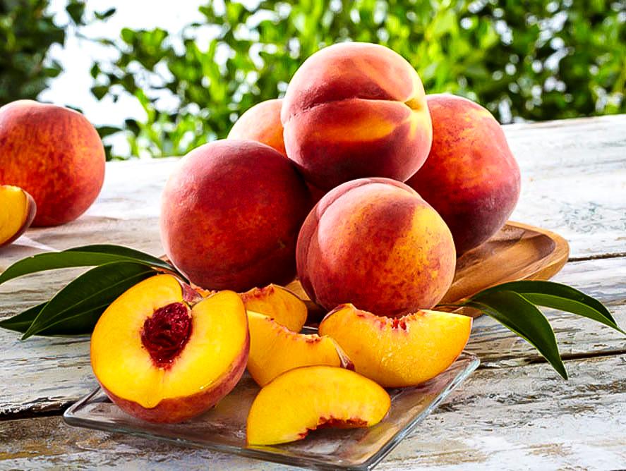 Peach Semi-Dwarf Glohaven