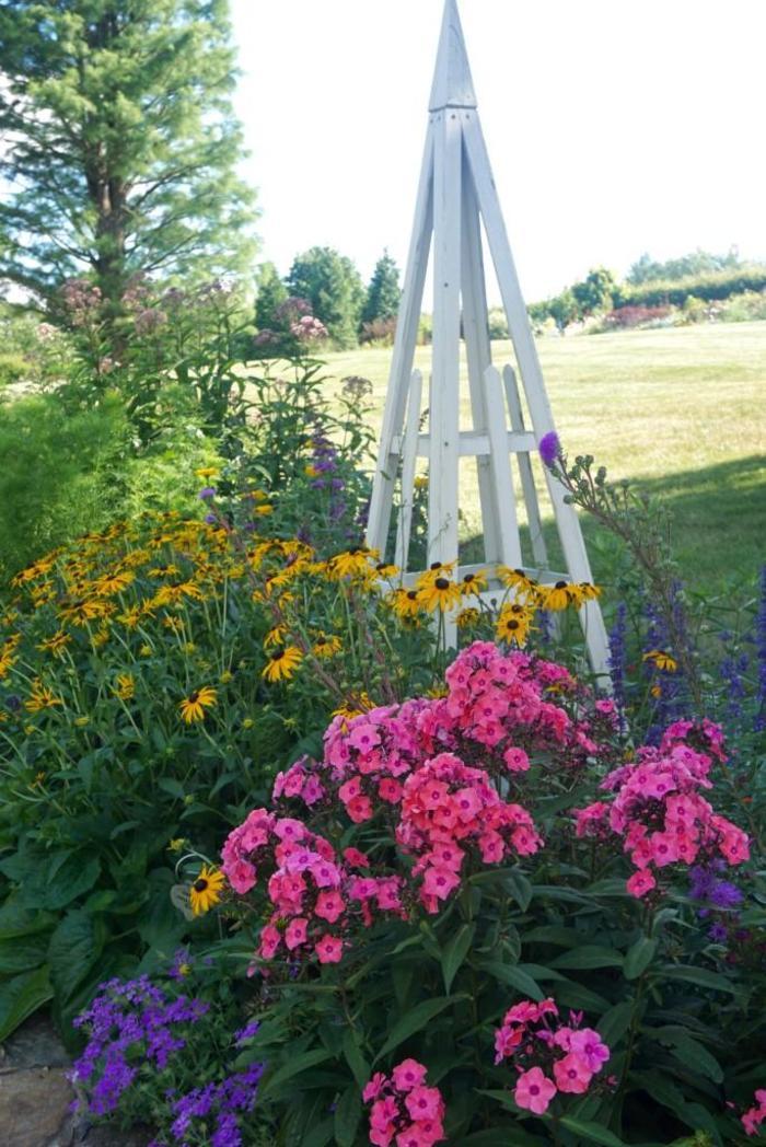 Phlox paniculata Candy Store® Coral Creme Drop™ PP20907