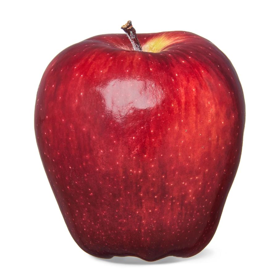 Apple Semi-Dwarf Red Delicious