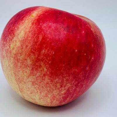 Apple Semi-Dwarf Freedom