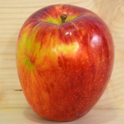 Apple Semi-Dwarf Braeburn