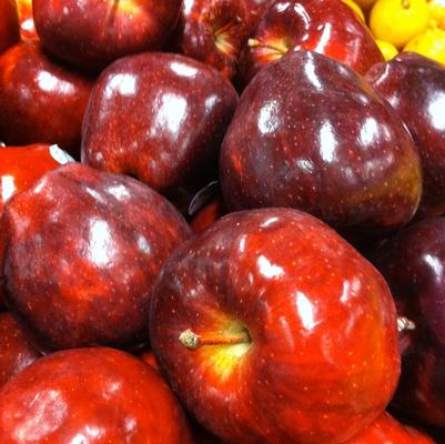 Apple Semi-Dwarf Red Delicious