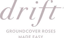 Drift_Logo