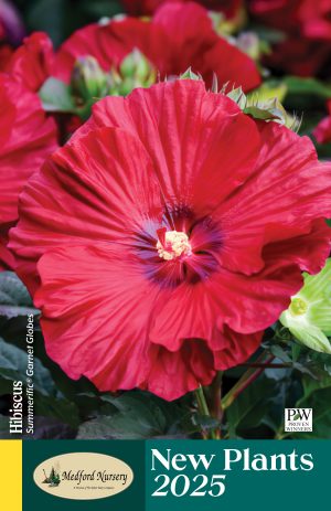 MED_ProductHighlightPacket_2025-cover-2